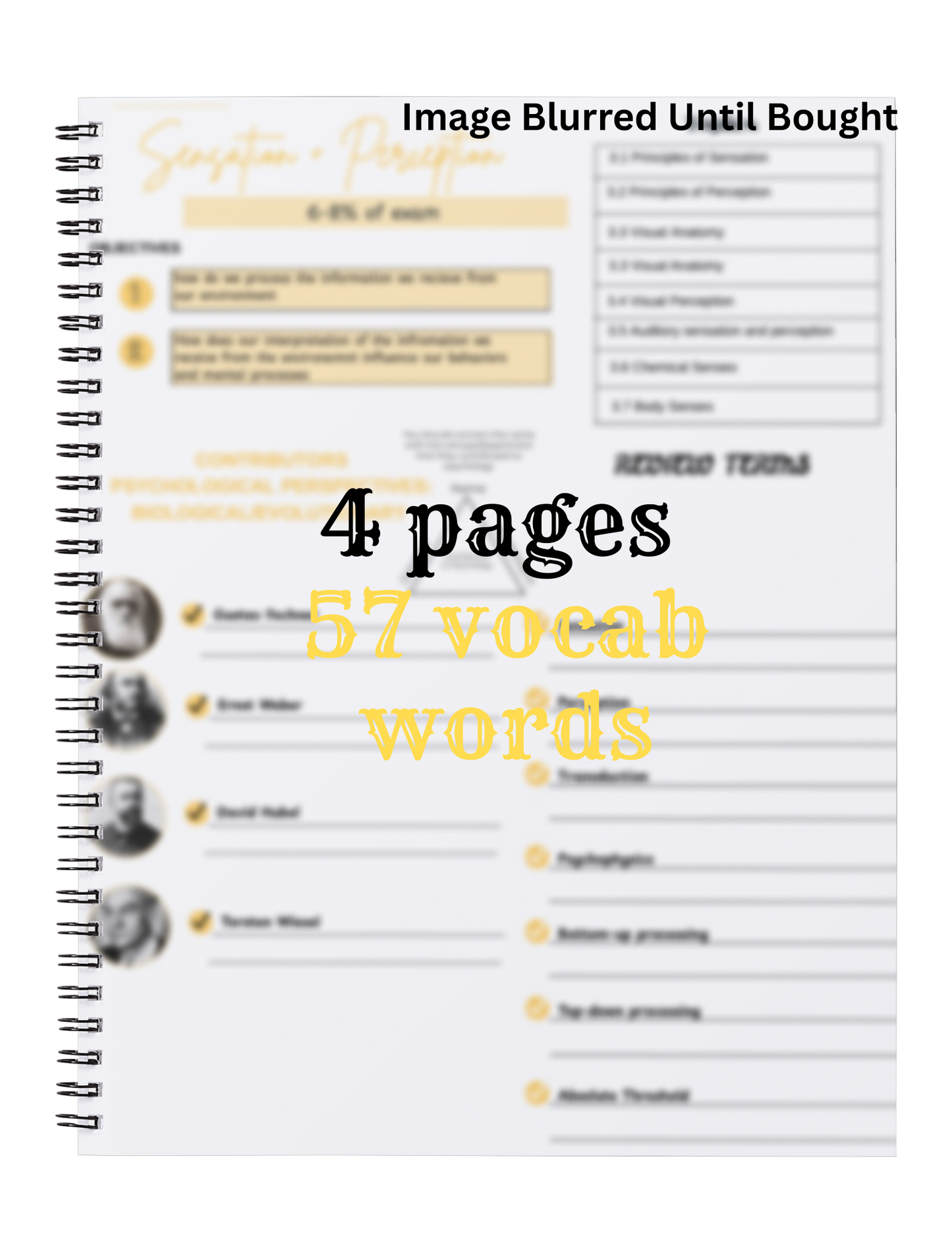 Sensations and Perceptions UNIT 3 of AP psychology