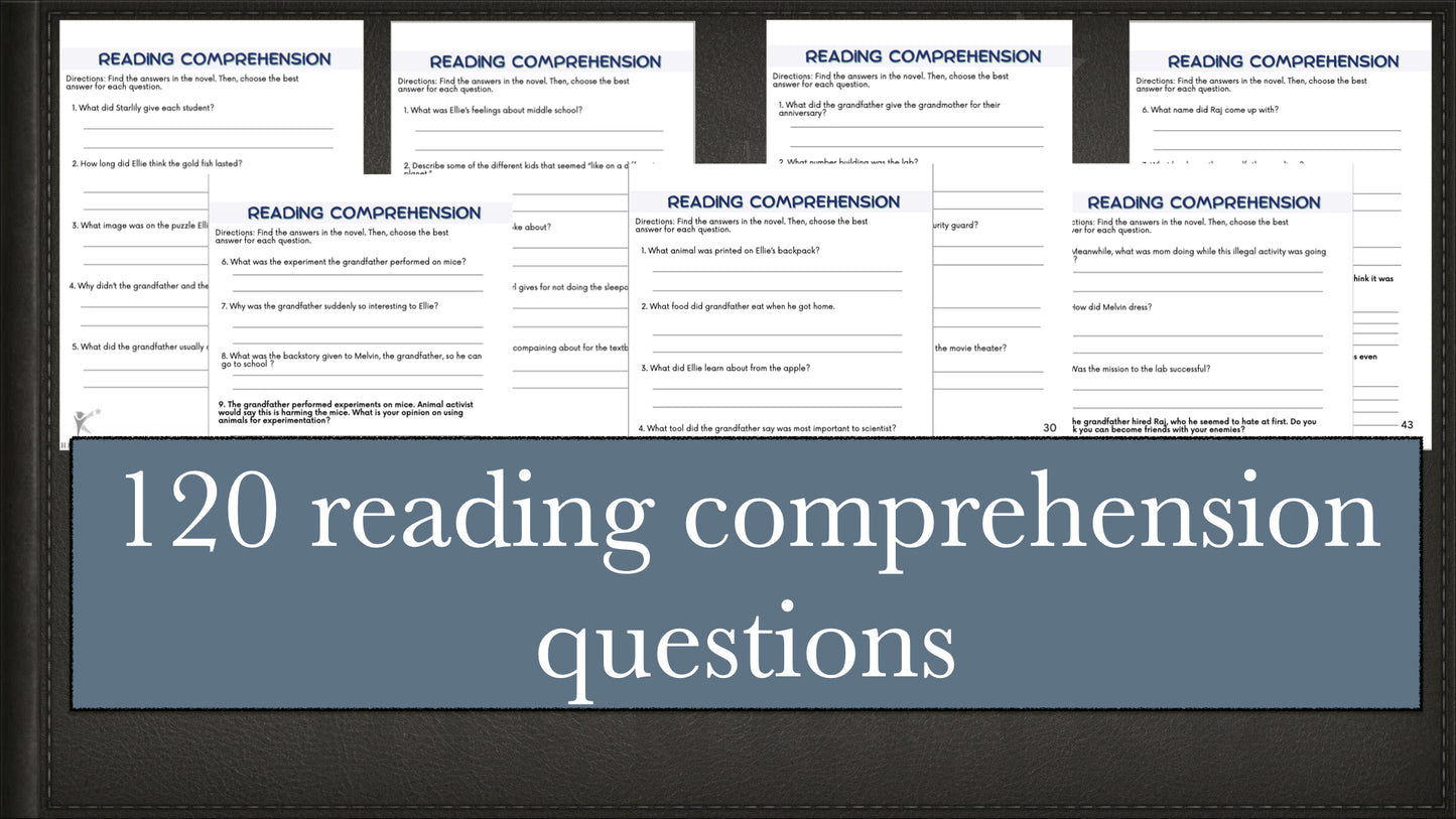 The Fourteenth Goldfish Novel Study